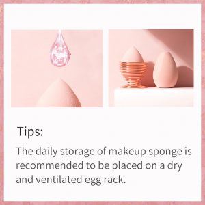 makeup sponge